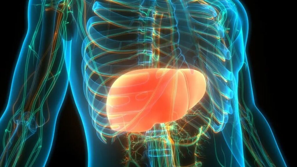 Havendo indicação médica, o plano de saúde deve cobrir o tratamento com radioembolização hepática.