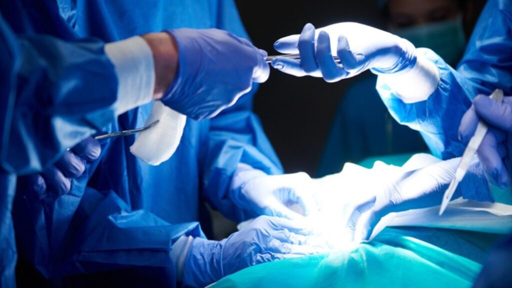 Havendo indicação médica, o plano de saúde deve cobrir o Transplante autólogo e o alogênico de medula óssea.